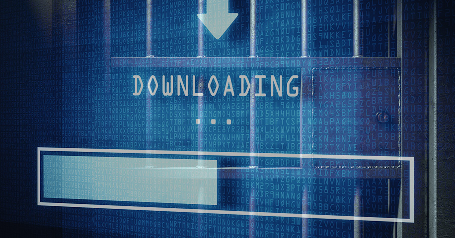 Inmate Population Data Download