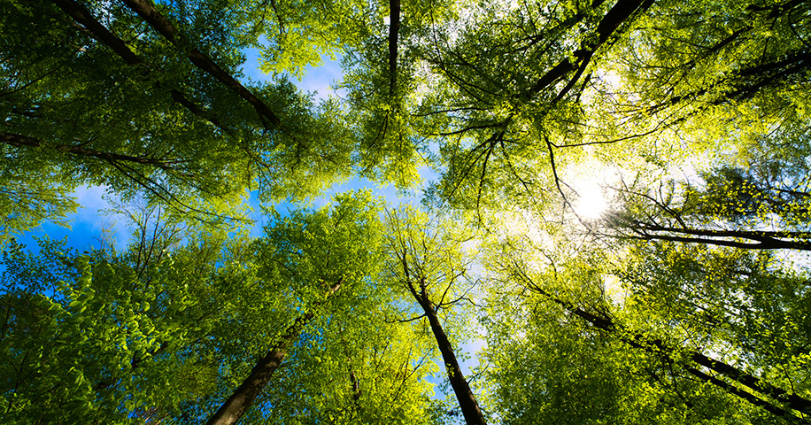 DEQ Web-based Environmental Applications